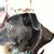 Michele Whalen's profile image
