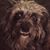 Tk Cassidy Fleming's profile image