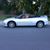 Alace Shockey's profile image