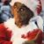 Jonathan Davidson's profile image