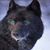 Linda R Breedlove's profile image