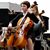 LeeAnn Re Scolere's profile image