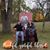 Sharon Stucky's profile image