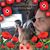 Scott Beck's profile image
