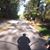 Kevin Butler-Au's profile image