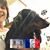 Dawn Shonkwiler's profile image