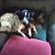 Sheila Askew's profile image