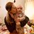 Savannah Kae Thompson's profile image