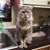 Debbie Worsham Pennington's profile image