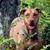 JR Cashin's profile image