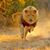 Mark Emrich's profile image