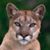Matthew Pepperdine's profile image