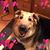 Laurie Carter Wetter's profile image