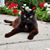 Trish Ann B's profile image