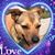Jaquelin Mancuso Swindell's profile image