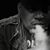Roy McDuffie's profile image