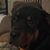 Bobby Porter's profile image