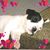 Darlene Kinsey's profile image