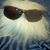 Matt Smith's profile image