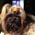 Linda Zochowski's profile image