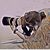 Ann Mettee Richardson's profile image