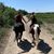 Teresa Satow Herbert's profile image