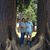 Art Renteria's profile image