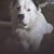 Jeff Jones's profile image