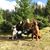 Michelle Theresia Darr's profile image