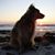 Chuck Boelter's profile image