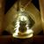 Michelle J. Champagne's profile image