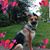 LaShae Lee Wright's profile image