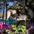 Valarie Liuzza's profile image