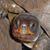Shelley Allan-Cole's profile image