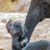 Teresa Rardin's profile image