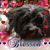 Sheryl Rice Hutchins's profile image