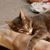 Lynda Chance's profile image
