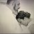 Teri Welfel's profile image