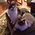 Dorothy Flach-Mulvahill's profile image