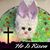 Rebecca Ureta-Redfearn's profile image