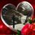 Nj Brown's profile image