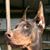 Michael Blau's profile image
