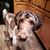 Shari Klug Filsinger's profile image