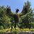 Carol Flores's profile image