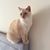Chuck Ramey's profile image