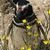 Ellen Padrusch's profile image