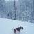 Irina Burkhard's profile image