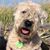 Farrelly's Murphy's profile image