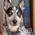 Denese Fernen Brooks's profile image