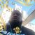 Chris Nicholson Jr.'s profile image